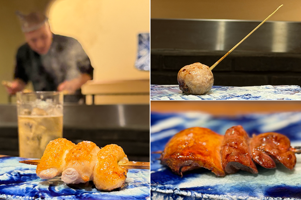 Sora yakitori, Tokyo