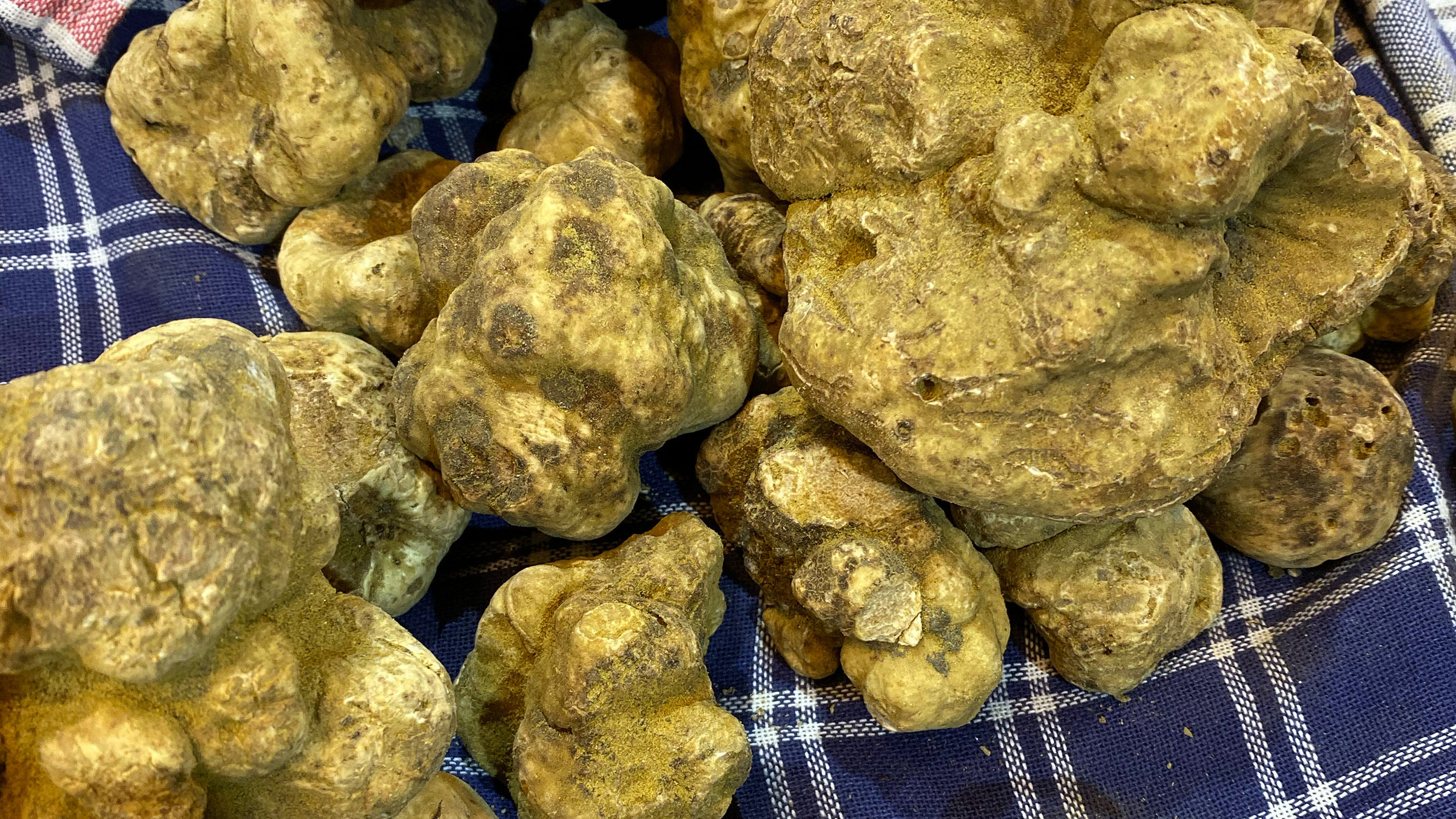 The White Truffle Road Trip