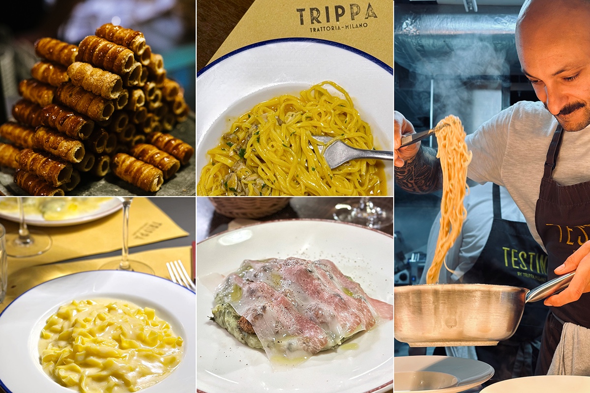 Trippa