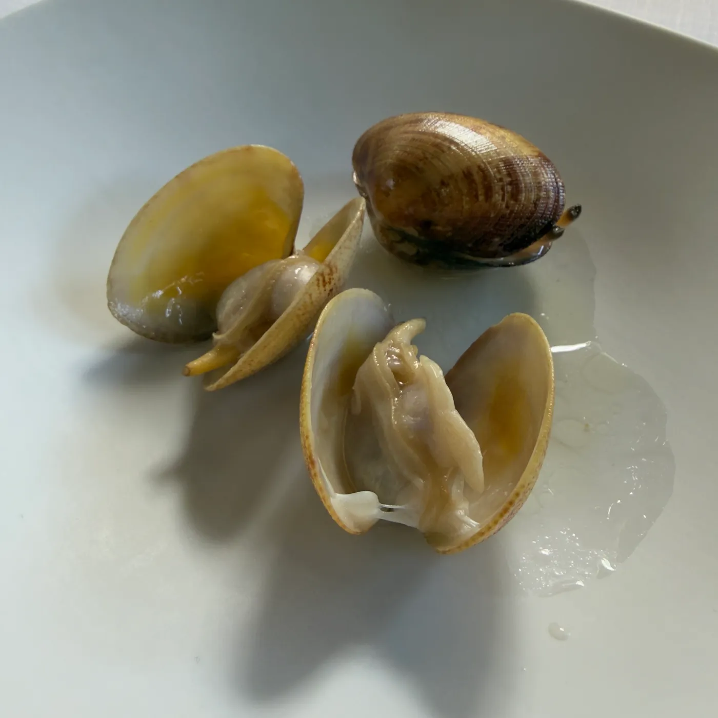 La Huertona — menu 8