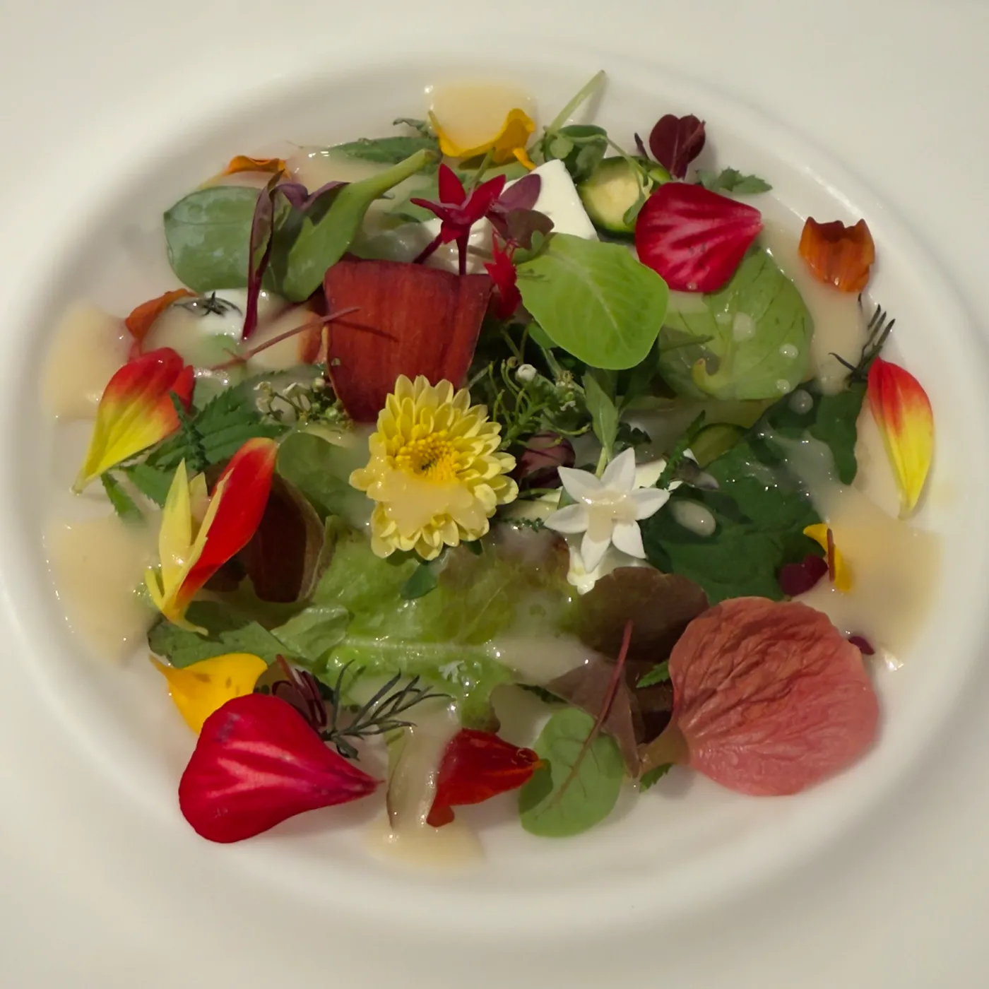 Casa Marcial — menu 17
