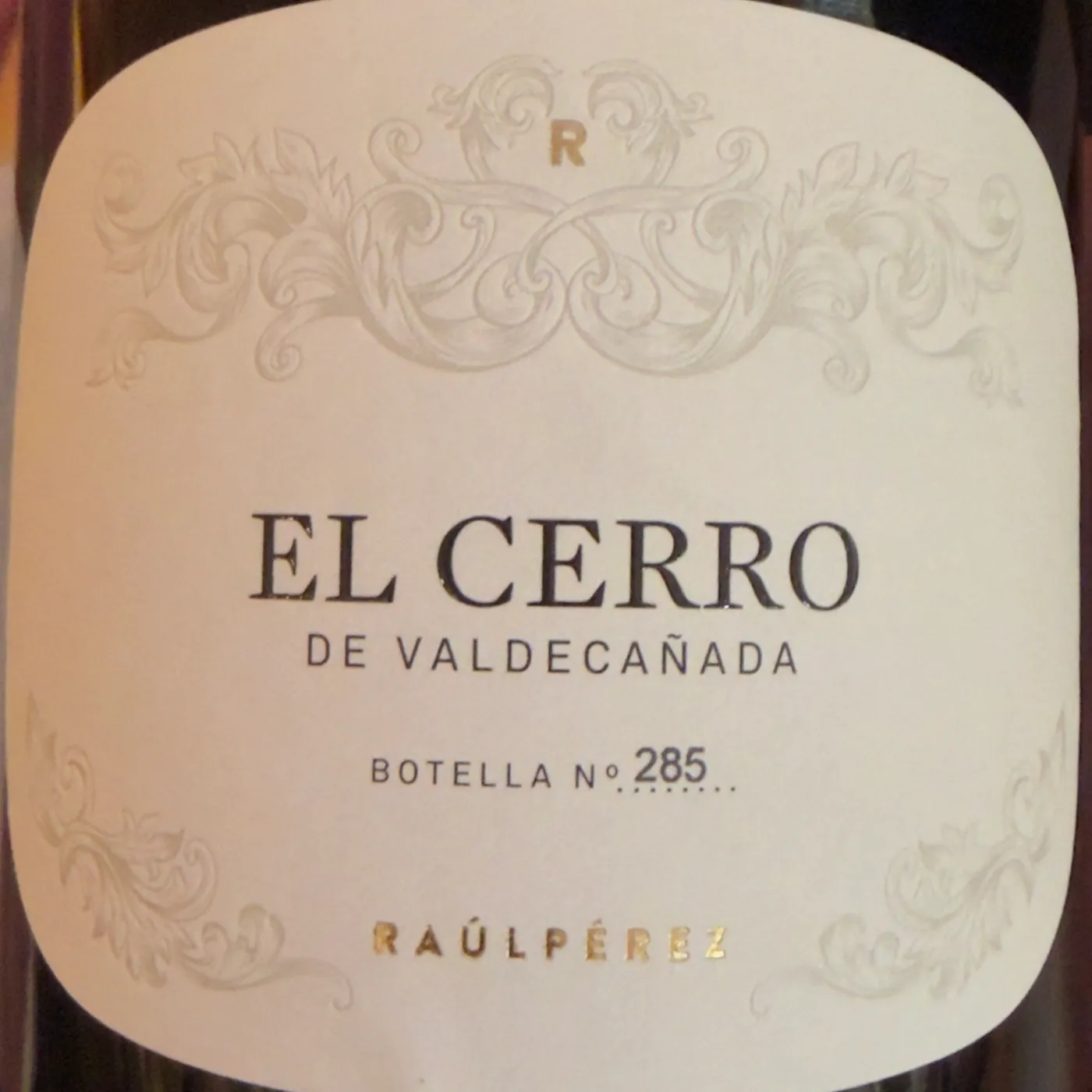 El Cerro de Valdecañada, Raúl Pérez | Mencía-led red, Bierzo
