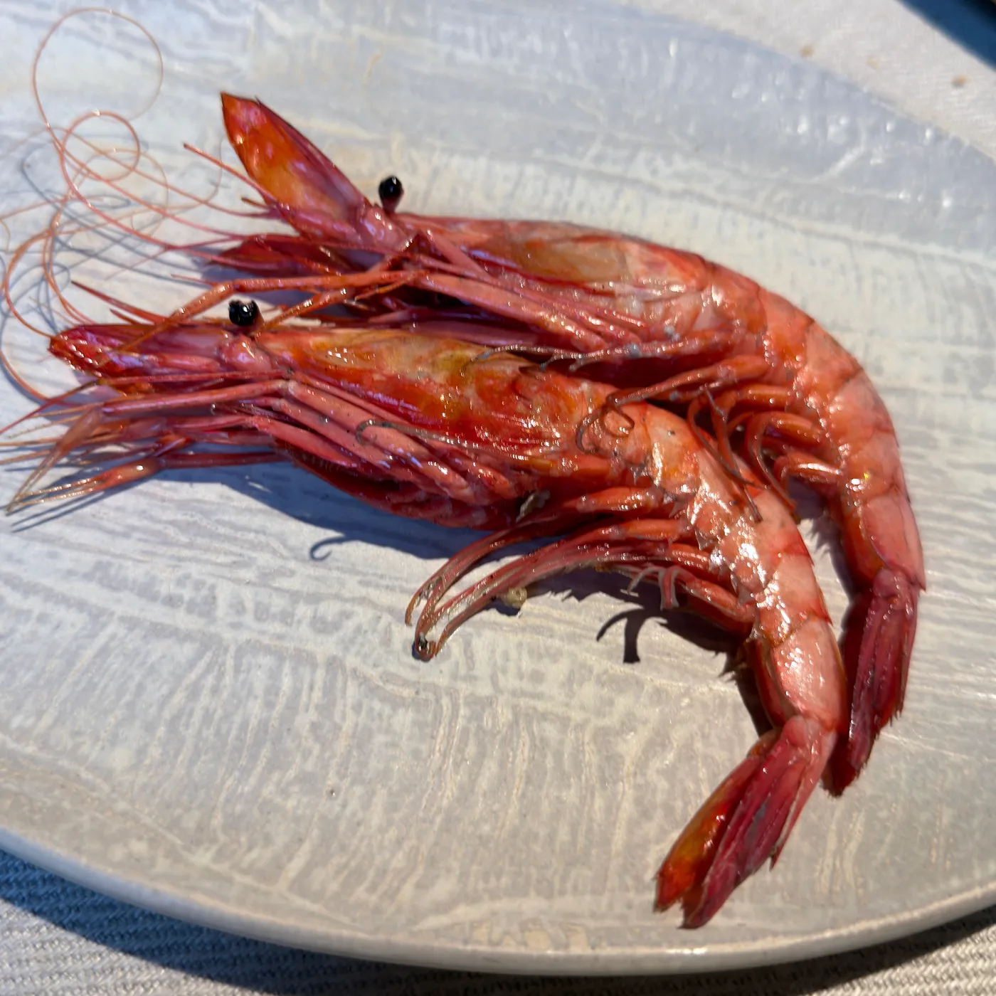Etxebarri — menu 13