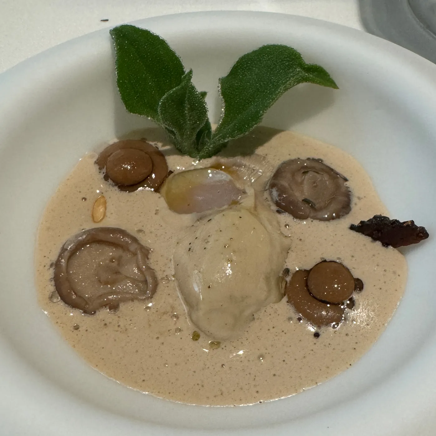Disfrutar — menu 20