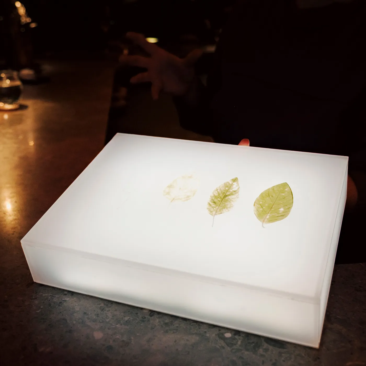 Alchemist — menu 22